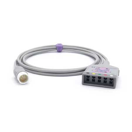 SG5224AA