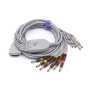 SK1206B