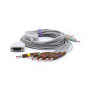 SK1209B