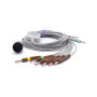SK1207B